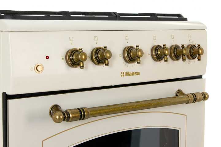 Газовая плита Hansa FCGY62109