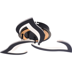 Светильник потолочный светодиодный Rivoli Cassandra 6194-703 LED 3000-6250К 42 Вт с пультом | Rivoli