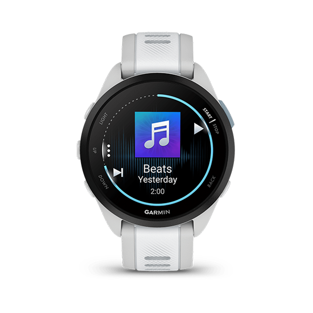 Умные часы Garmin Forerunner 165 Music GPS, WiFi, Mist Grey