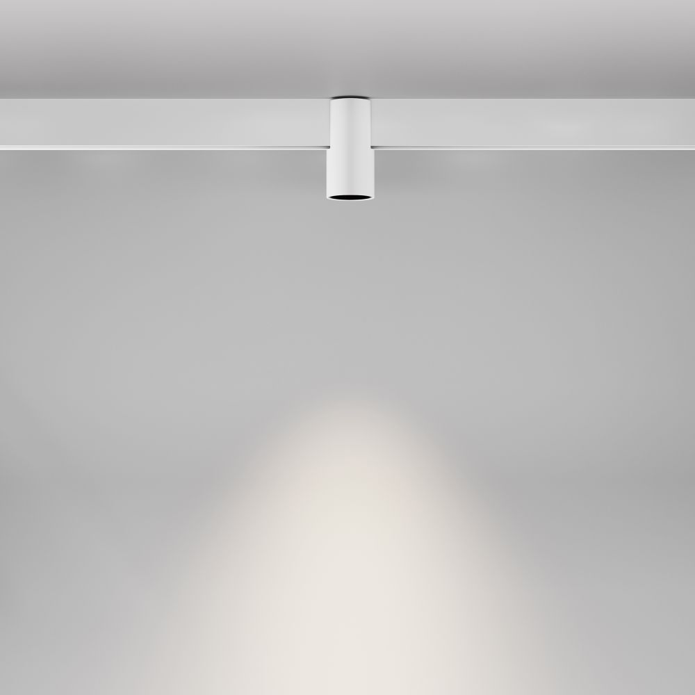 Трековый магнитный светодиодный светильник Maytoni   TR122-2-7W4K-W