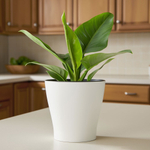 Горшок цветочный Лея 3,6л двойной с автополивом (белый)