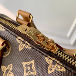 Louis Vuitton Speedy Trunk 20