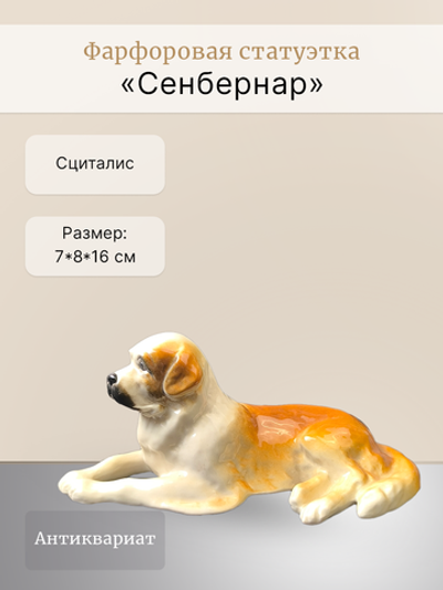 Фарфоровая статуэтка "Сенбернар" Сциталис