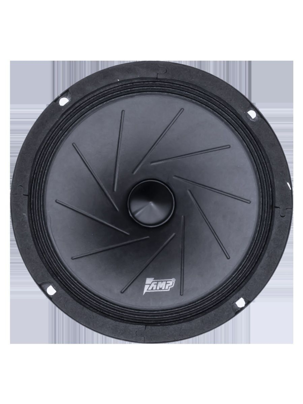 Акустика эстрадная MASS FR65