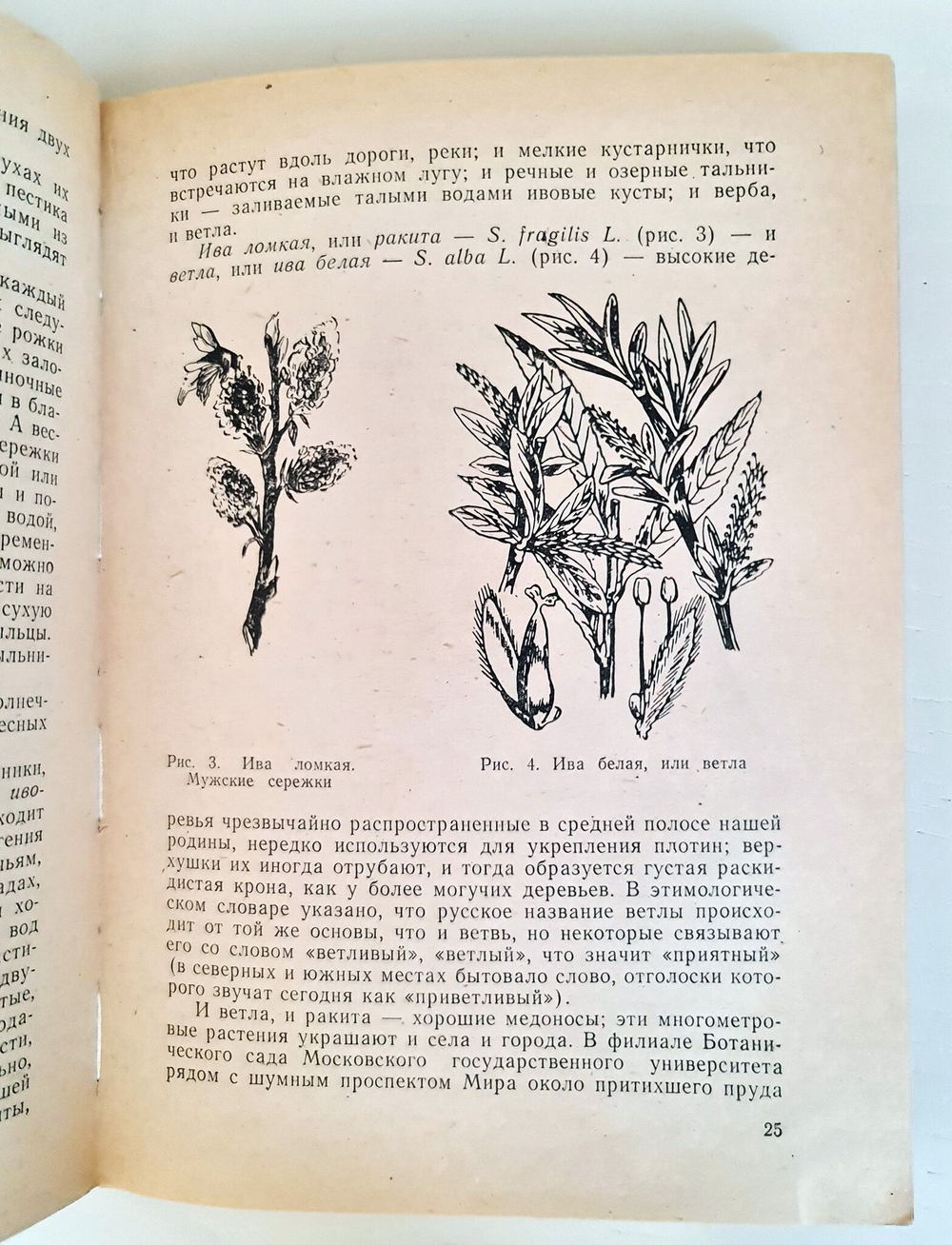 Растения и аллергия. Астафьева Н.Г., Адо В.А., Горячкина Л.А.
