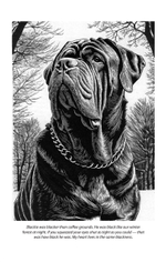 Dogs and other people