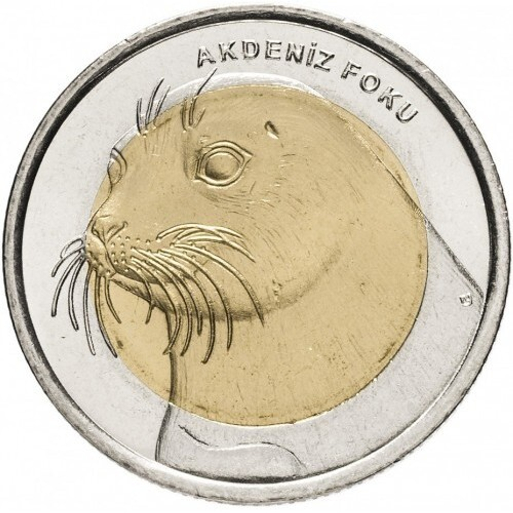 Тюлень-Монах