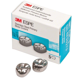 Второй верхний правый моляр, размер 2 (E-UR-2)