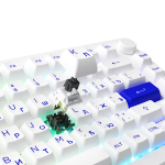 AKKO MOD007B PC Blue&White 3 Modes RGB Hot Swap  Akko V3 Piano Pro Switch,ASA profile keycap