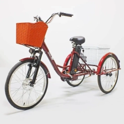 Электровелосипед Green Camel Трайк-24