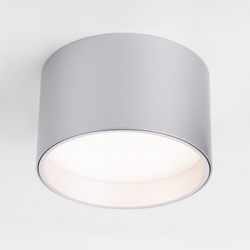 Накладной светильник Elektrostandard Banti 25123/LED (Цвет плафона Светлый)