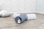 Тоннель для котят, нейлон, 3 x ф 22 x 50 см, Trixie