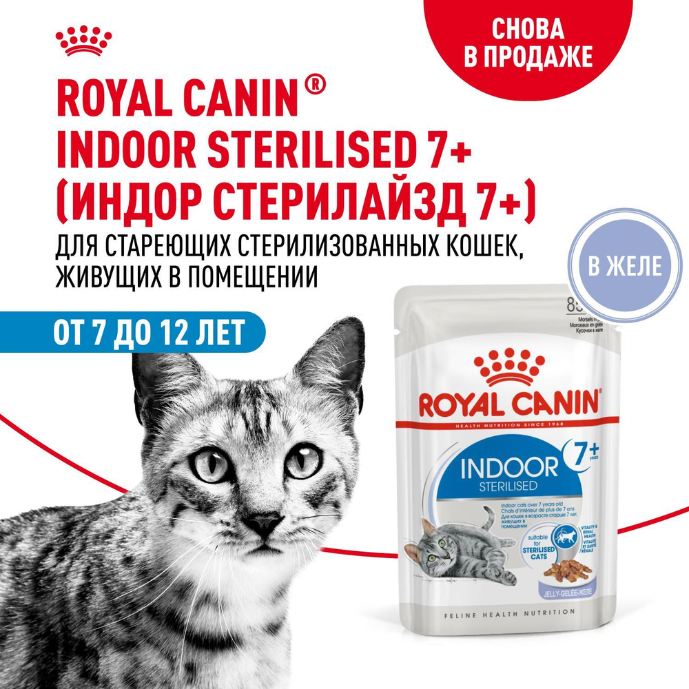 Royal Canin Indoor Sterilized 7+ Корм консервированный для стареющих кошек желе 85г