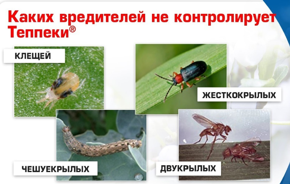 Инсектицид Теппеки , ВДГ (500 г/кг флоникамид) 2кг