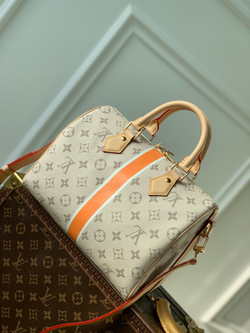 Louis Vuitton Speedy 25