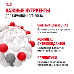 Royal Canin Kitten Корм сухой сбалансированный для котят в период второй фазы роста до 12 месяцев - 10 кг