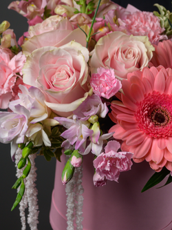 Розовая мечта *