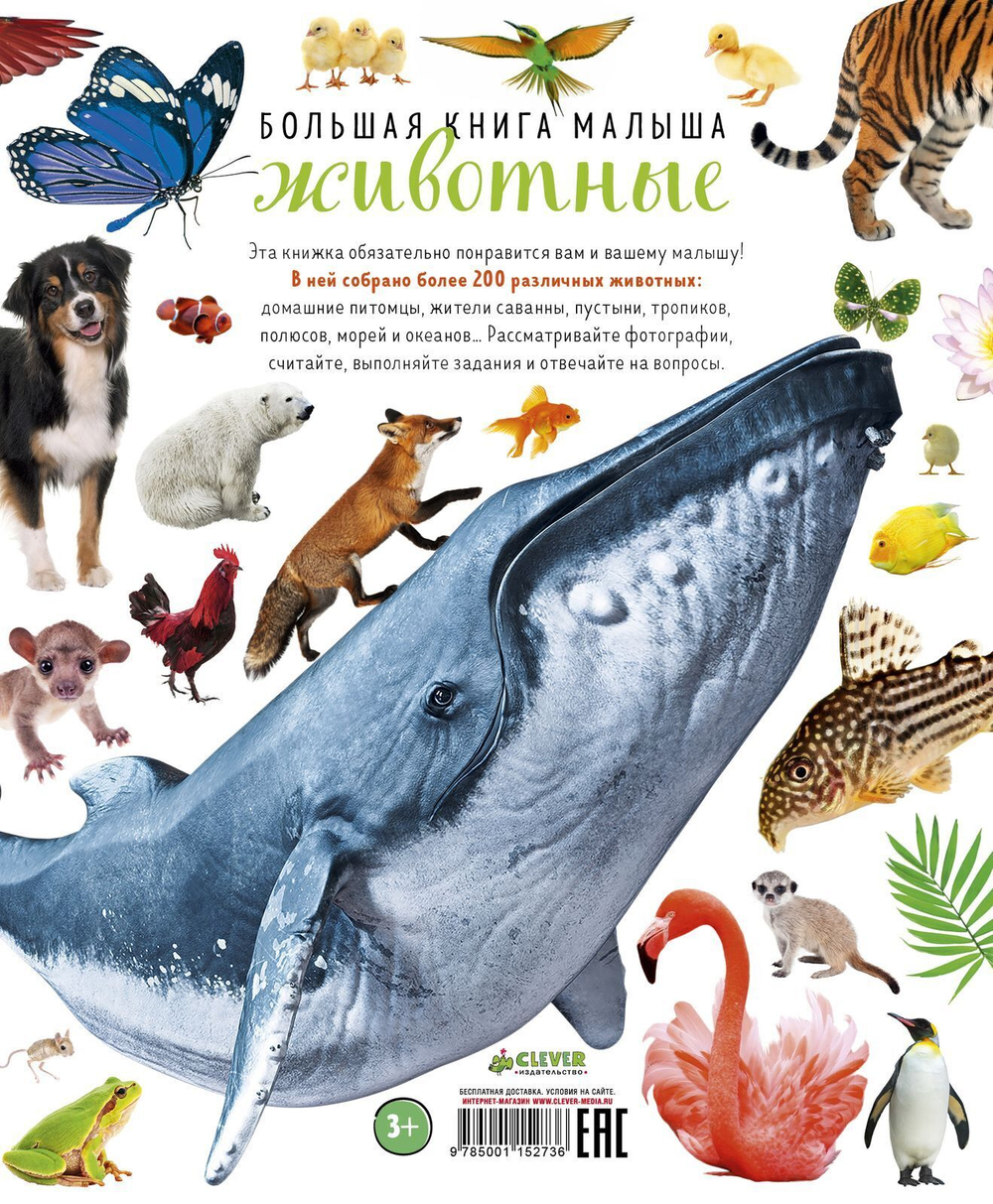 Большая книга малыша. Животные
