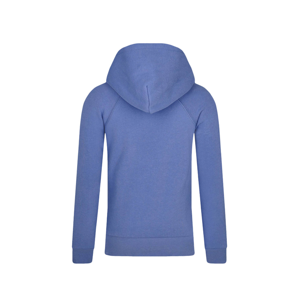 худые POLO RALPH LAUREN - голубой(844838)