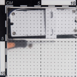 Настенный светильник Citilux Eletto Krown EL334W16.1
