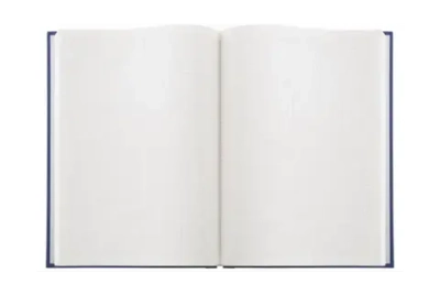 Книга канц. 96 л. кл. А4 б/в блок офсет, тверая, синяя Lamark