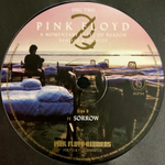 Pink Floyd / A Momentary Lapse Of Reason (Remixed & Updated)(2LP)