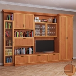 Стенка Венеция 8