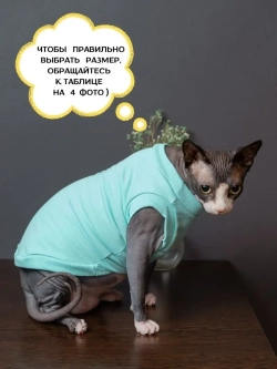 Майка для собак и кошек