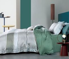 Постельное белье Asabella Коллекция ЛЮКС TENCEL 1754