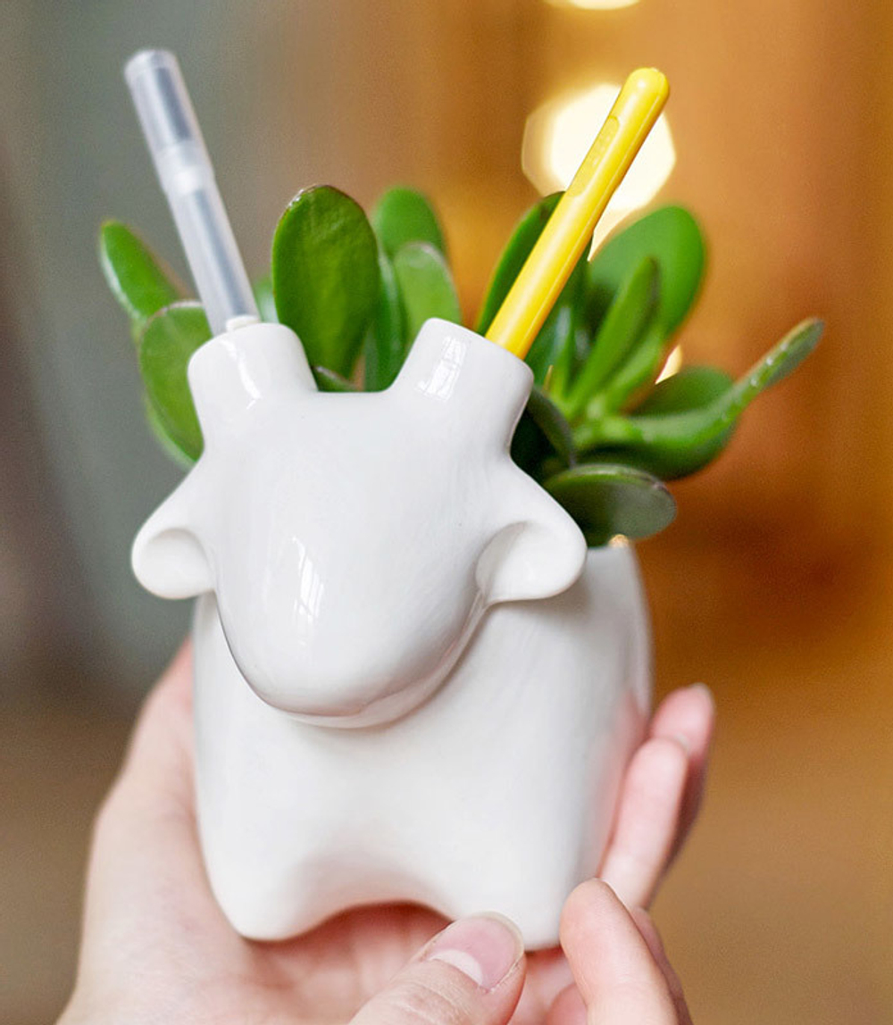 Набор для выращивания eco Овечка