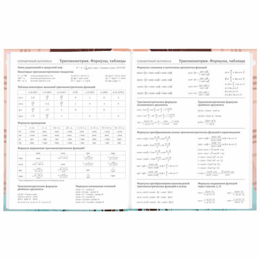 Дневник 5-11 класс 48 л., твердый, BRAUBERG, глянцевая ламинация, с подсказом, "Summer girl", 106882