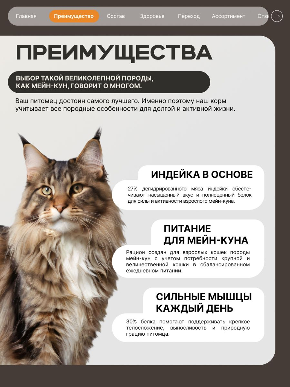 Корм сухой для кошек породы Мейн-кун, с индейкой, 400 гр, QUATTRO