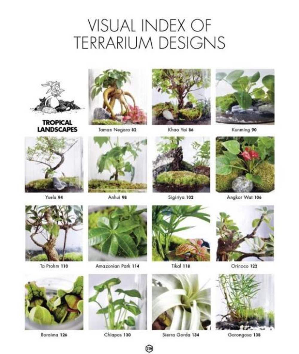 Terrarium: 33 Glass Gardens to Make Your Own