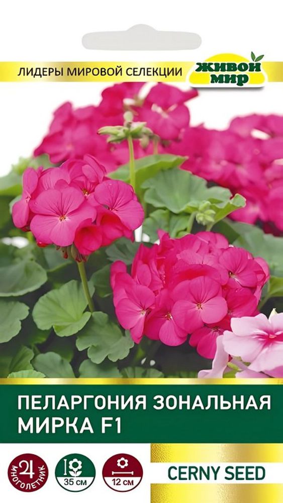 Пеларгония зональная "ЖМ. Mиpкa F1" 3шт, Чехия. Пеларгония зональная "ЖМ. Mиpкa F1" 3шт, Чехия.
