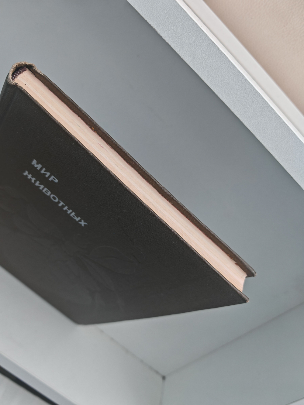 Мир животных. Рассказы о насекомых