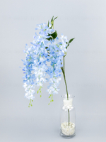 Глициния ампельная Маркиза