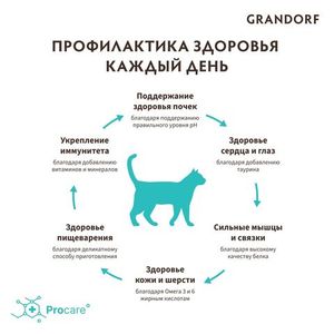 Сухой корм Grandorf CAT Lamb&Turkey INDOOR для домашних кошек, ягнёнок с индейкой
