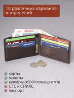 DKB1109R Castanho - Портмоне Dakar с RFID защитой
