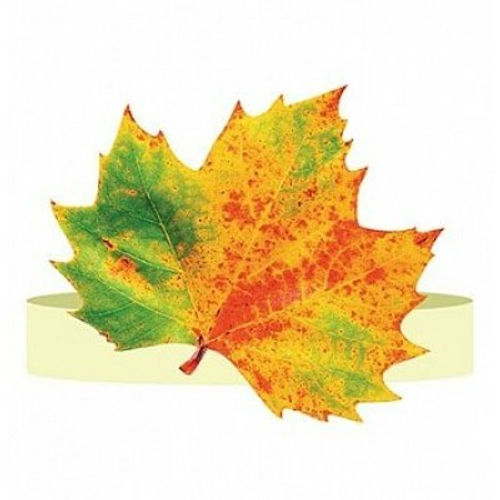 КОМПЛЕКТ Ободок "Осенний лист", 46071 5КР-030