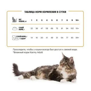 Уценка! Срок до 05.2024/ Сухой корм для для взрослых кошек, Karmy Hair & Skin, поддерживающий здоровье кожи и шерсти, с лососем