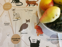 Скатерть "Кошки"