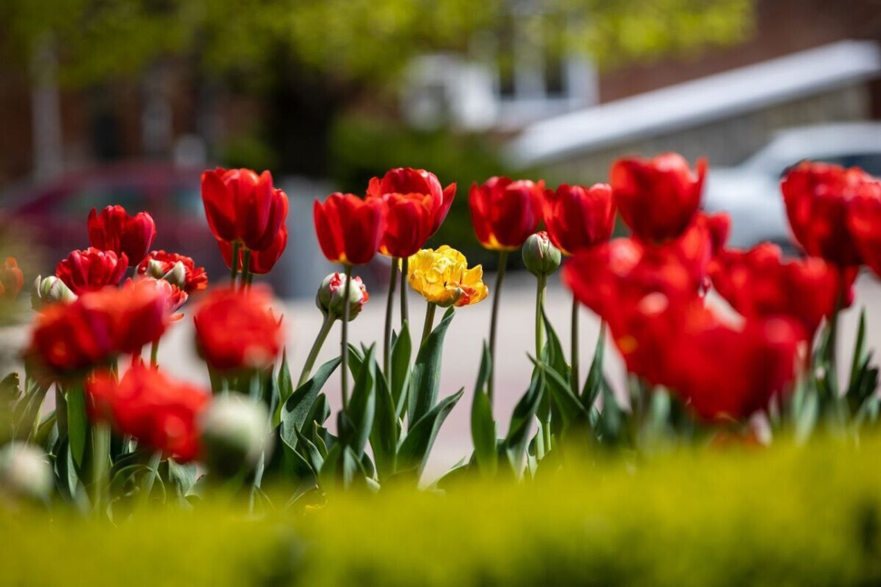 🌷Доброе, предпраздничное!