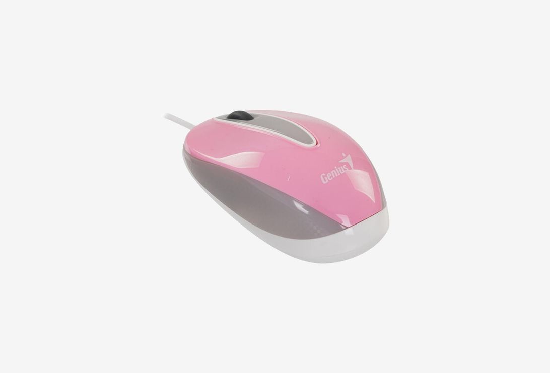 31010025403_0326326101032