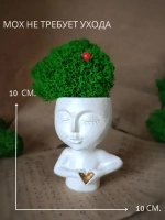 Кашпо статуэтка со мхом для интерьера