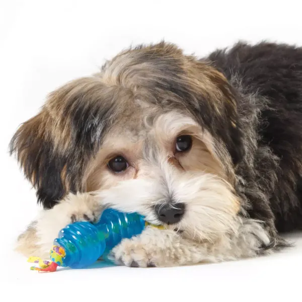 Набор из двух игрушек Petstages для собак мелких пород 