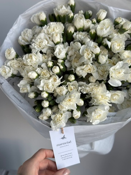 Моно букет из кустовых диантусов в белом оттенке 51 шт