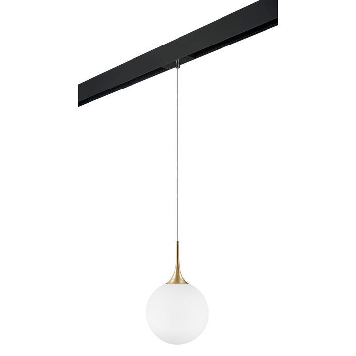 Комплект с трековым светильником Lightstar Globo (813032+595007) PRO813032