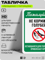 Табличка "Не кормите голубей" на дверь и забор, для двора, дома, подъезда, 40х30 см, Silver Plane x Айдентика Технолоджи