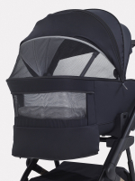 Коляска 2 в 1 Rant Garda