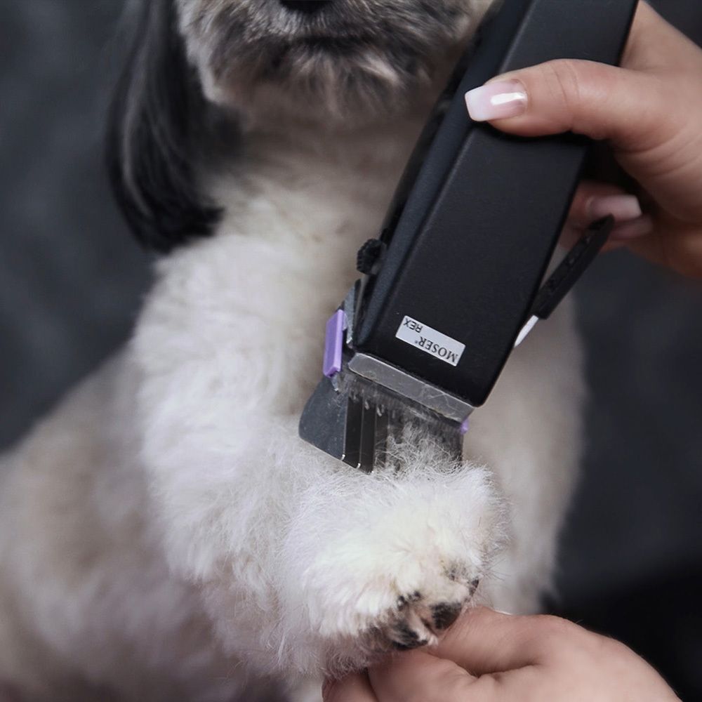 Машинка для стрижки животных Moser Rex (1230-0079) - 10